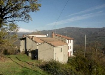 Rustic Bettola - photo 4