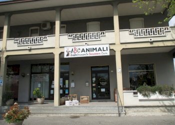 Stabile - Palazzo Rivergaro - foto 6