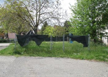 Stabile - Palazzo Rivergaro - foto 14