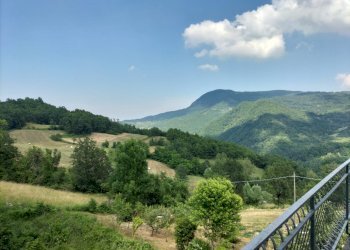 Rustic Farini - photo 5