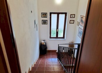 Rustic Farini - photo 21