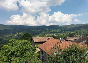 Rustic Farini - photo 39