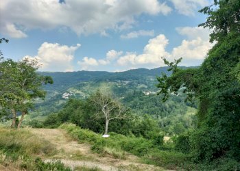 Rustic Farini - photo 43