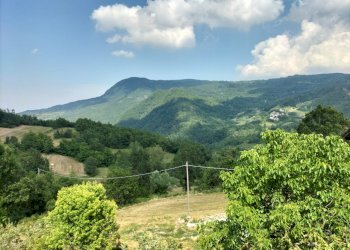 Rustic Farini - photo 68