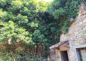 Rustic Bobbio - photo 6