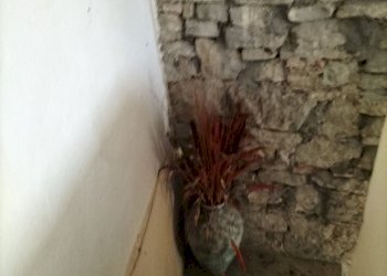 Rustic Bobbio - photo 10