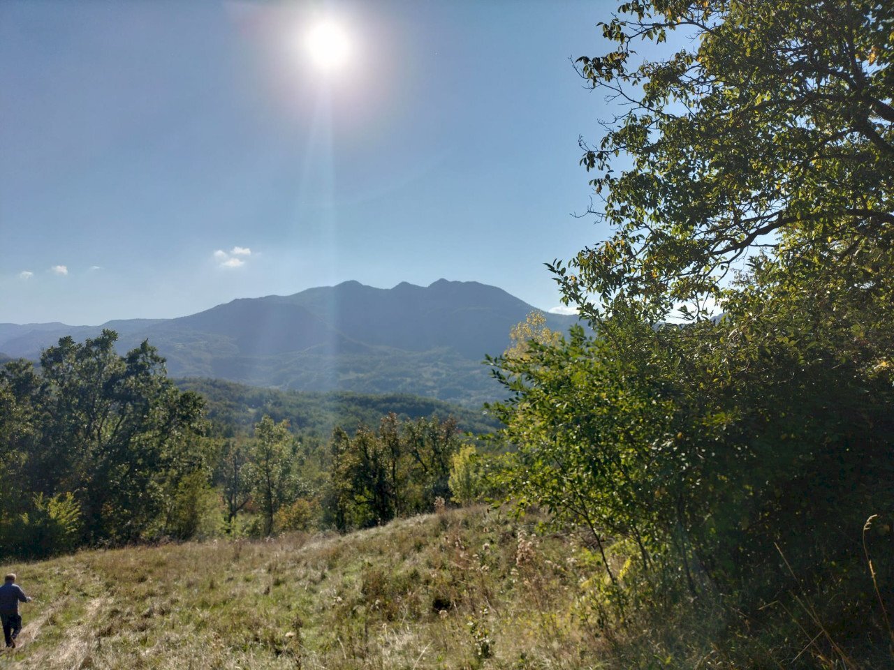 Rustic Bettola - photo 3