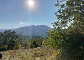 Rustic Bettola - photo 3