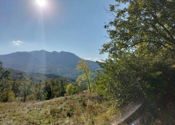 Rustic Bettola - photo 4