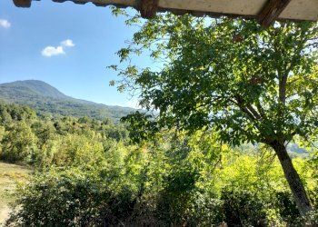 Rustic Bettola - photo 5