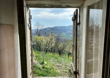 Rustic Travo - photo 3