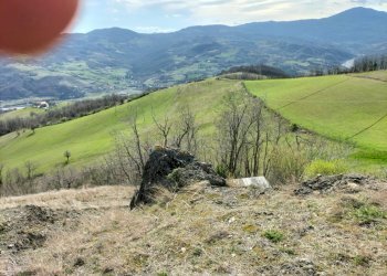 Rustic Travo - photo 7