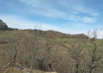 Rustic Travo - photo 8