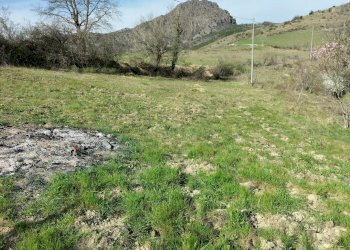 Rustic Travo - photo 9