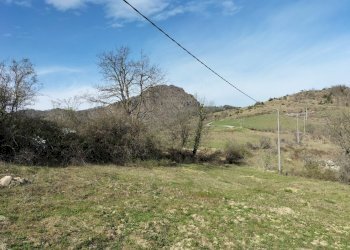 Rustic Travo - photo 10