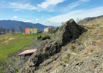 Rustic Travo - photo 30