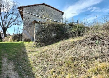 Rustic Travo - photo 34