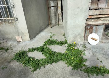 Rustic Travo - photo 35