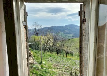 Rustic Travo - photo 49