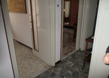 Stable - Palace Fiorenzuola d'Arda - photo 7