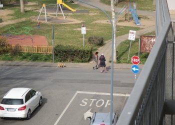 Stable - Palace Fiorenzuola d'Arda - photo 12