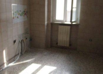 Stable - Palace Fiorenzuola d'Arda - photo 13