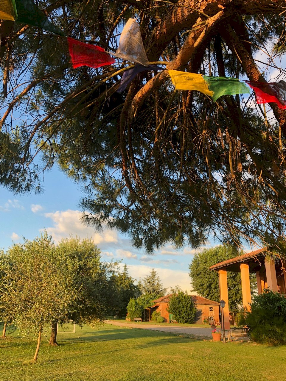 Casa indipendente Castel Guelfo di Bologna - foto 2