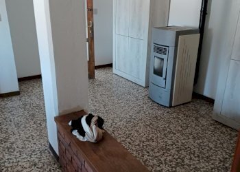 Appartamento Ferriere - foto 9