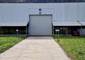 Capannone Imola - foto 7