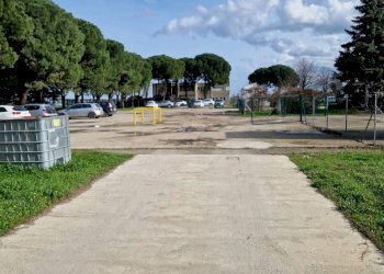 Capannone Imola - foto 9
