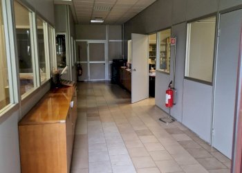 Capannone Imola - foto 10