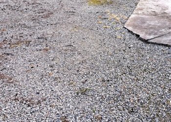 Independent house Ravenna (neighborhood Mezzano - Borgo Masotti) - photo 10