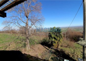 Rustic Envie - photo 5