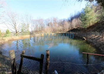 Rustic Envie - photo 6