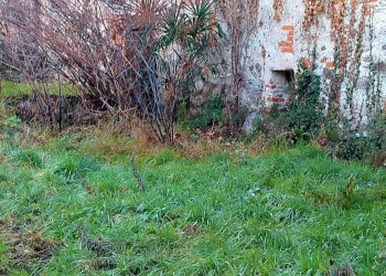 Rustico dell' acquedotto, Ranco - foto 29