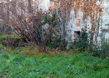 Rustico dell' acquedotto, Ranco - foto 30