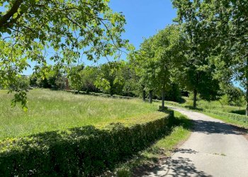 Terreno - Rustic strada della Rosa, Chieri - photo 8