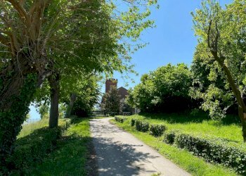 Giardino - Rustico strada della Rosa, Chieri - foto 9