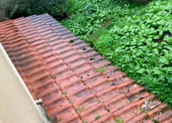 Giardino - Villa via Bergiola, Massa - foto 16