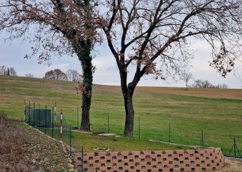 24.jpg - Trilocale Strada Tiberina Nord 421, Perugia - foto 24