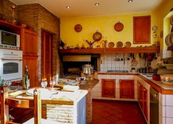 Ex casale in zona Montecarlo (12).jpg - Casale Via di San Martino, Porcari - foto 16