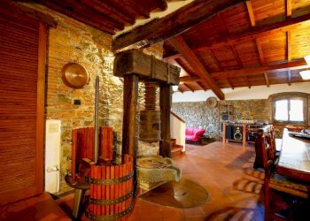 Ex casale in zona Montecarlo (20).jpg - Casale Via di San Martino, Porcari - foto 22