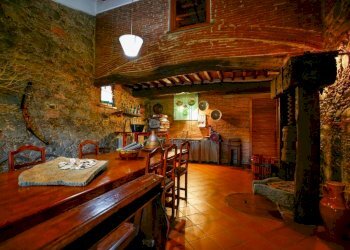 Ex casale in zona Montecarlo (28).jpg - Casale Via di San Martino, Porcari - foto 23