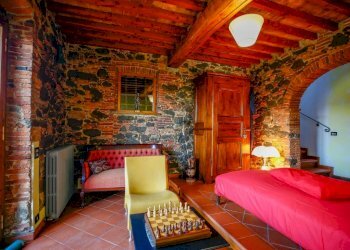 Ex casale in zona Montecarlo (22).jpg - Casale Via di San Martino, Porcari - foto 18