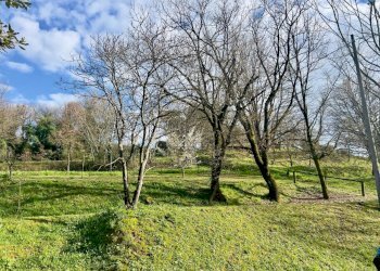Bellissimo complesso colonico in zona verdeggiante - Casale Via di San Martino, Porcari - foto 8