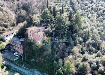 1247982-tf11fc.jpeg - Villa Via Porta Quaranta 5, Massa - foto 20