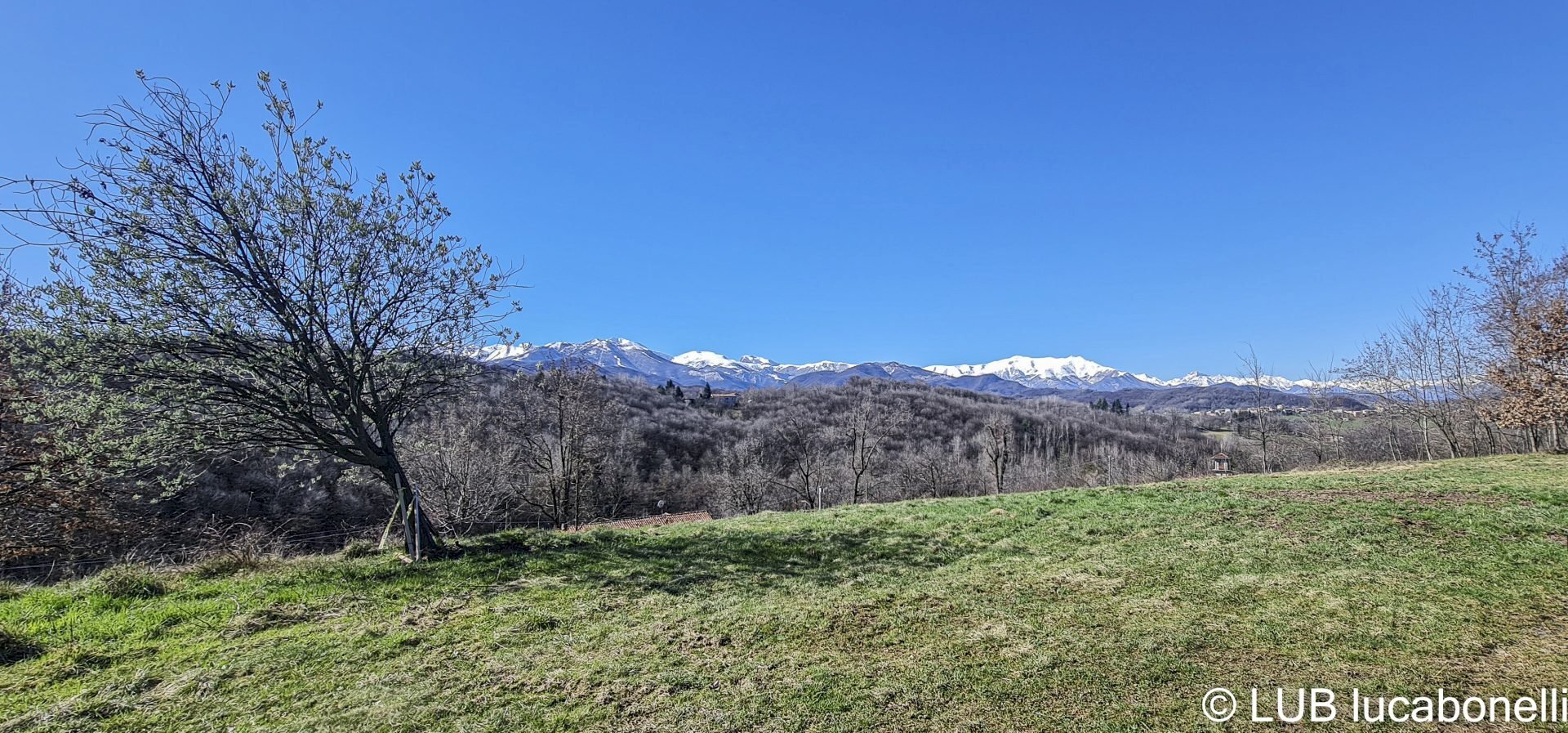 Terreno artigianale - terziario Vicoforte - foto 2