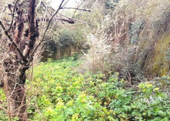 Rustico Località Villatalla, Diano Arentino - foto 5