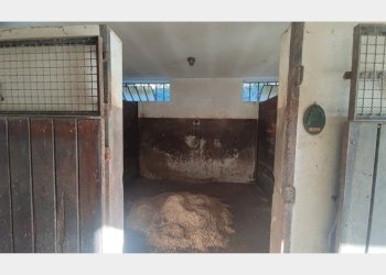 Rustico Asti - foto 28