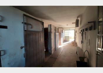 Rustico Asti - foto 29